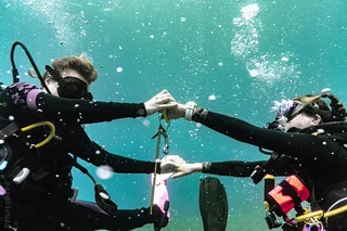Waikiki SCUBA Diving Charter 3 hr