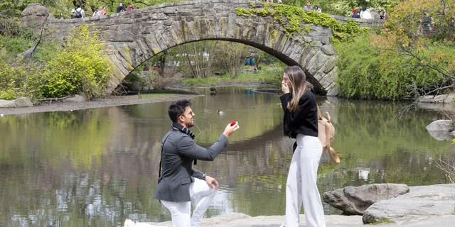 New York Photoshoot in Central Park and 5th Ave - Image 3