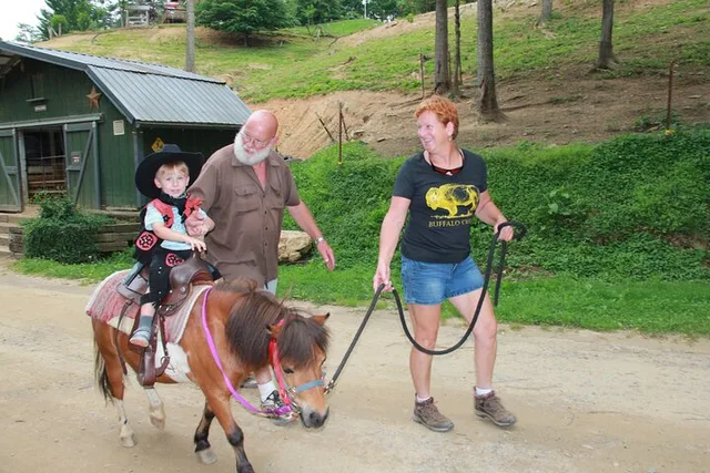 Smoky Mountains Mini Horse Ride for Children - Image 5