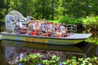 Orlando Airboat Ride and Wildlife Park Tour thumbnail 6