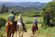 Oahu Scenic Horseback Ride 1 Hour thumbnail 3