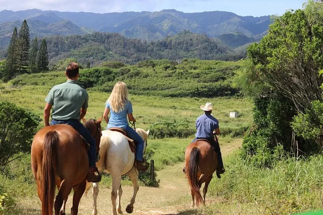 Oahu Scenic Horseback Ride 1 Hour - Image 3