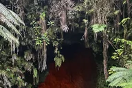 Hilo Volcanoes and Black Sand Beach Tour thumbnail 1