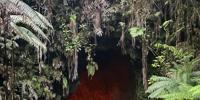 Hilo Volcanoes and Black Sand Beach Tour - Image 1