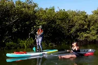 New Smyrna Mangrove Paddle & Mimosa Tour thumbnail 3