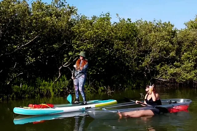 New Smyrna Mangrove Paddle & Mimosa Tour - Image 3