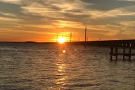 Marco Island Eco Tour at Sunset thumbnail 4