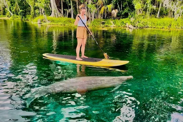 Silver Springs Clear Kayak Tour with Manatees and Monkeys - Image 4