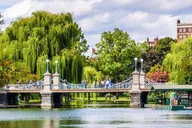 Boston Public Garden and Beacon Hill Half-Day Tour thumbnail 3