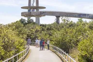 Miami Everglades Private Tour 4 hr thumbnail 6