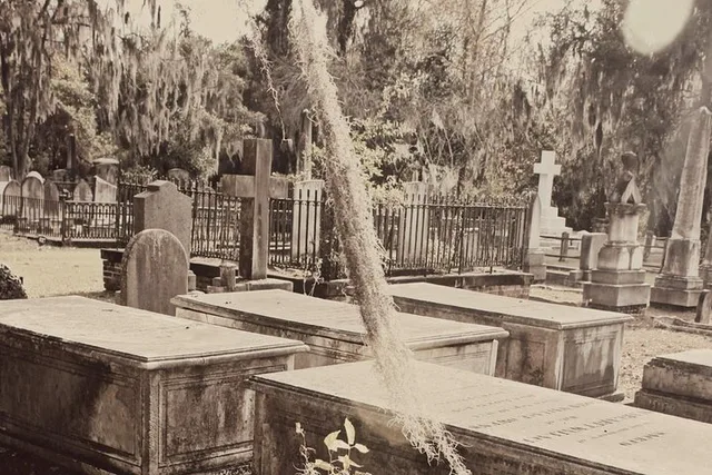 Savannah Cemetery Tour of Laurel Grove - Image 4