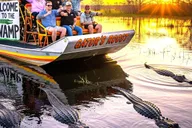 Miami Everglades Airboat Gator Spotting Tour thumbnail 3