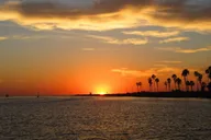 San Diego Dolphin and Whale-Watching Sunset Cruise thumbnail 6