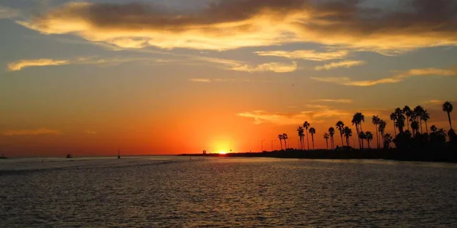 San Diego Dolphin and Whale-Watching Sunset Cruise - Image 6