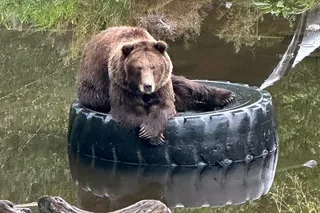 Sitka Scenic Private Tour