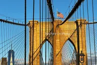 New York City Sightseeing Tour Full-Day thumbnail 3