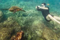 Maui Snorkeling Tour to Molokini and Turtle Town thumbnail 1