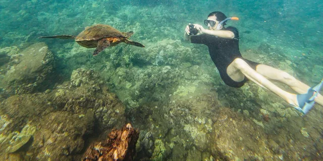 Maui Snorkeling Tour to Molokini and Turtle Town - Image 1