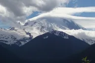 Seattle Mount Rainier Private SUV Tour thumbnail 1
