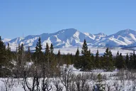 Fairbanks Denali Winter Drive 10 hr thumbnail 5