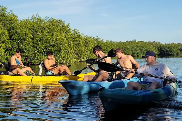 Florida Keys Kayak Tour in Mangrove Forests 3 hr - Image 3