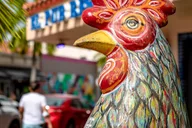 Miami Little Havana Walking Tour with Drinks 2 hr thumbnail 2