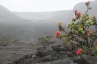 Hilo Volcanoes National Park Tour thumbnail 6