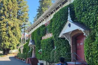 San Francisco Coastal Redwoods and Wine Tour thumbnail 5