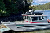 Sitka Wildlife Photo Safari & Beachcombing Cruise thumbnail 1
