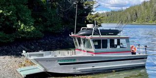 Sitka Wildlife Photo Safari & Beachcombing Cruise