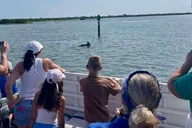 St. Augustine Dolphin and Wildlife Eco Adventure thumbnail 1