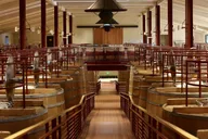 San Francisco Coastal Redwoods and Wine Country Tour thumbnail 3