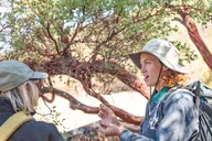 San Luis Obispo Foraging Tour at Margarita Ranch thumbnail 1
