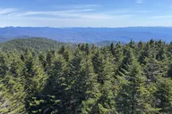 Asheville Kuwohi Mountain Tour 7 hr thumbnail 4
