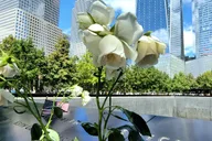 New York City 9/11 Memorial and Financial District Walking Tour thumbnail 4