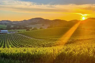 Wine Country Tour with Photography Services