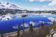 Skagway Yukon Adventure Tour with Puppies and Bridge thumbnail 2