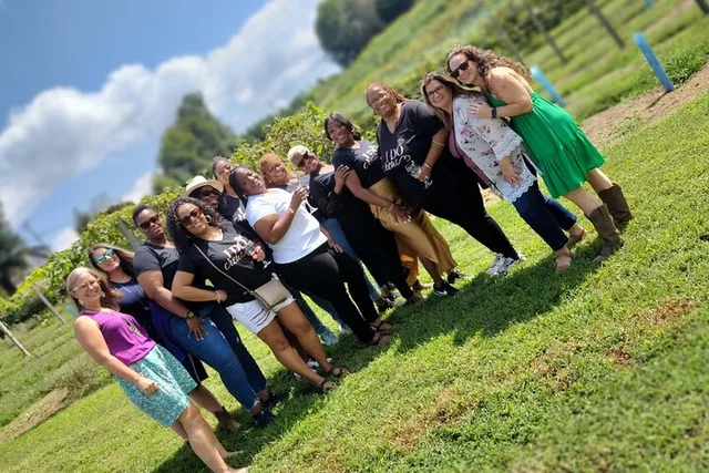 North Georgia Mountains Wine Tasting Tour - Image 5