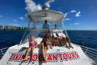 Waikiki Snorkel and Wildlife Cruise thumbnail 6