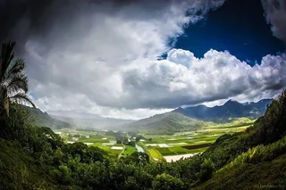 Oahu Island Tour