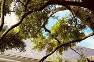Charleston Women and Wine Tour thumbnail 6