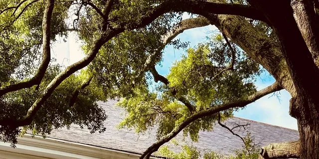 Charleston Women and Wine Tour - Image 6