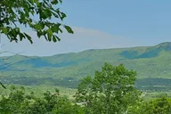 Pigeon Forge Smoky Bear Discovery Tour 3 hr thumbnail 3