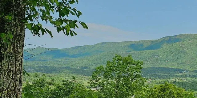 Pigeon Forge Smoky Bear Discovery Tour 3 hr - Image 3