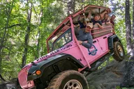 Pigeon Forge Foothills Parkway Jeep Tour 2.5 hr thumbnail 3