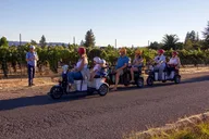Sonoma Wine Country Electric Trike Tour 3 hr thumbnail 5
