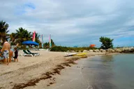 Miami Key Largo and Isla Morada Private Tour thumbnail 5