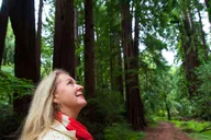 San Francisco Muir Woods and Sausalito Tour 5 hr thumbnail 3