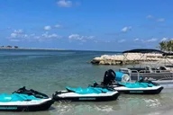 Clearwater Jet Ski Dolphin Tour 1 Hour thumbnail 1