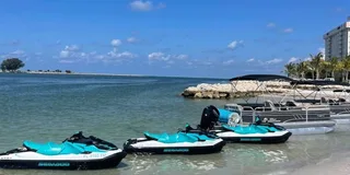 Clearwater Jet Ski Dolphin Tour 1 Hour